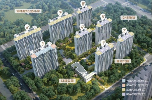 2023年南京取消限購，金鷹置業(yè)投資價(jià)值如何？